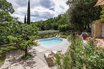 A large swimming pool is surrounded by trees and flowers
