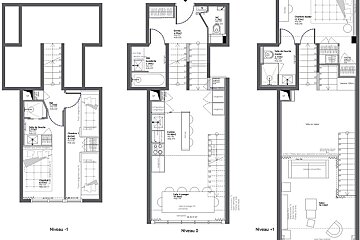 Architectural floor plan of a three-level home, showing Niveau -1, Niveau 0, and Niveau +1 with French labels.