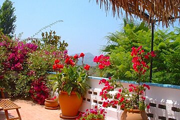 A balcony with flowers and a thatched roof