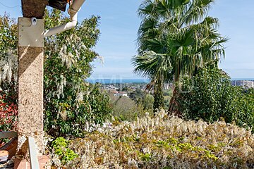 A view of the ocean from a rooftop garden