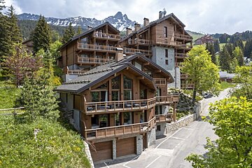 A large wooden house sits in the middle of a forest