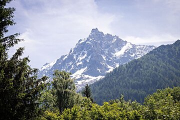 A snowy mountain with trees in the foreground