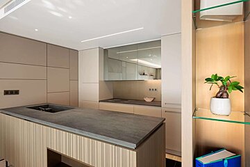 A potted plant sits on a glass shelf in a kitchen
