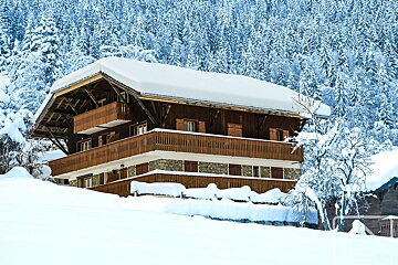 A snowy house in the middle of a snowy forest