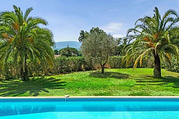 A swimming pool surrounded by palm trees with mountains in the background