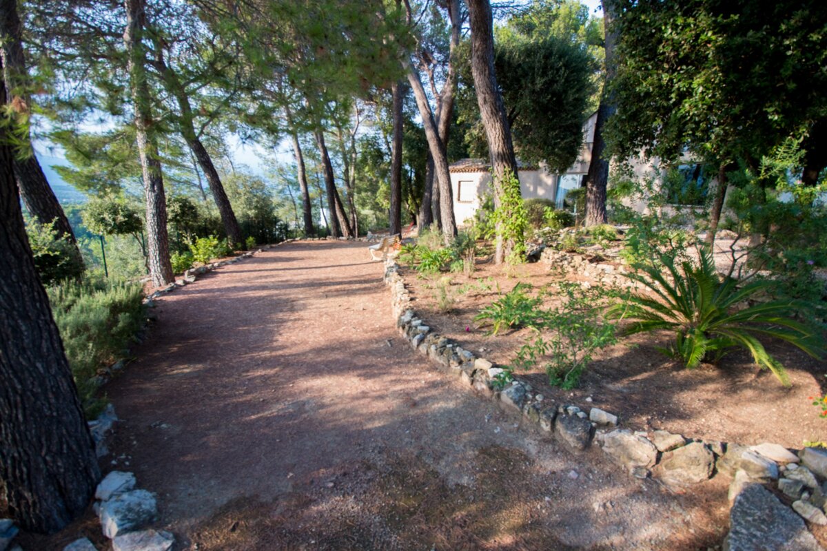 A path in the woods with a stone border