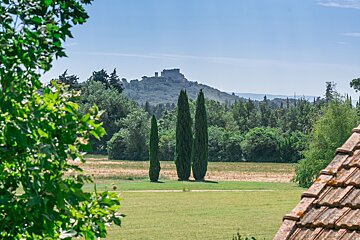 Two trees in a field with a castle in the background