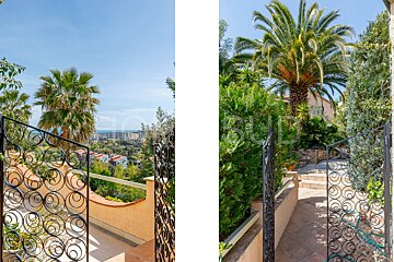 Two pictures of a palm tree and a wrought iron gate