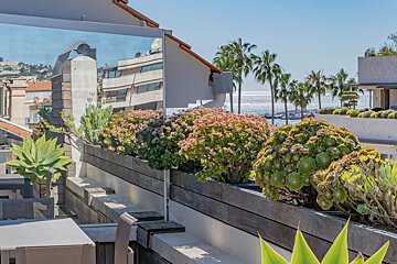 Sunny rooftop terrace with green planters of succulents and flowers, overlooking palm trees and the sparkling blue ocean.