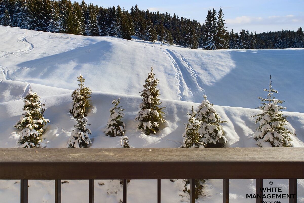 A serene winter mountain scene with snow-covered hills and numerous pine trees, some with tracks, viewed from behind a dark balcony railing.