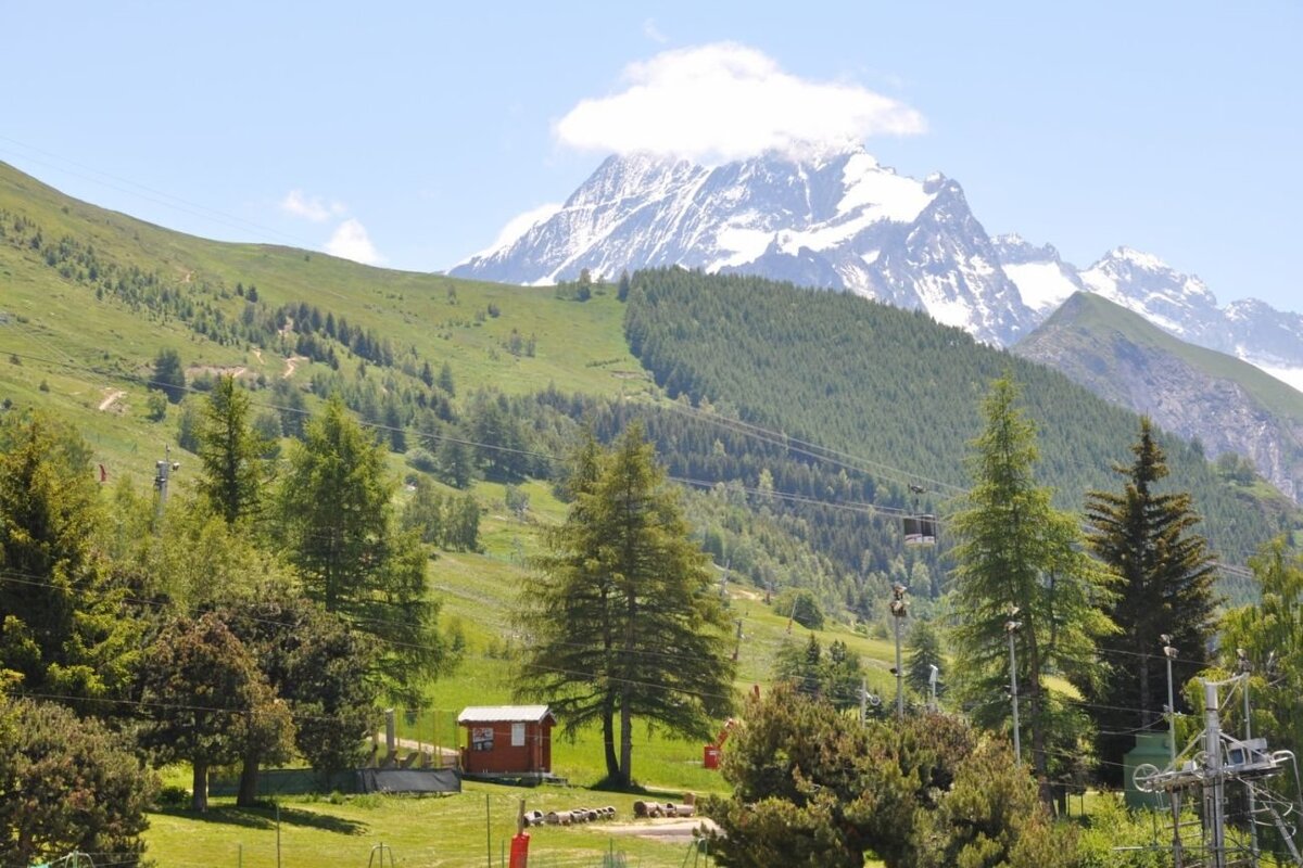 Lush green hills and pine trees with a small red cabin, backdropped by a majestic snow-capped mountain under a blue sky.