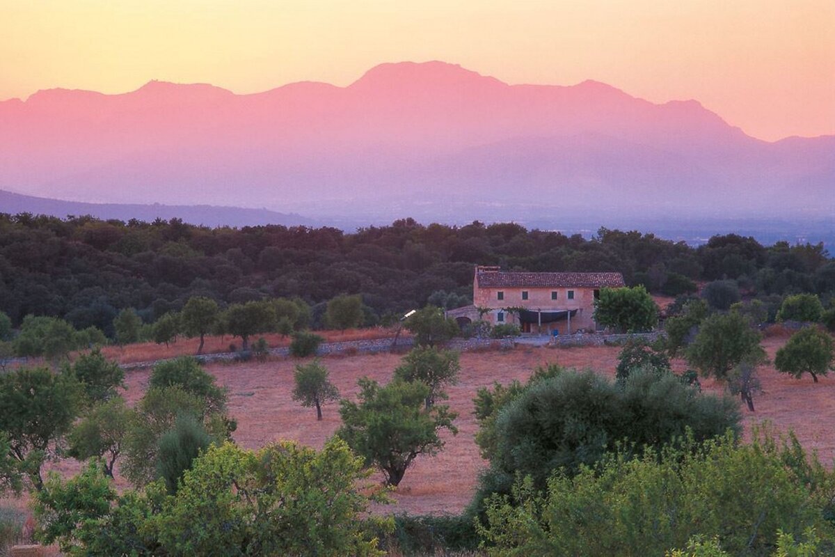 A house in the middle of a field with mountains in the background