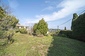A lush green yard with a house in the background