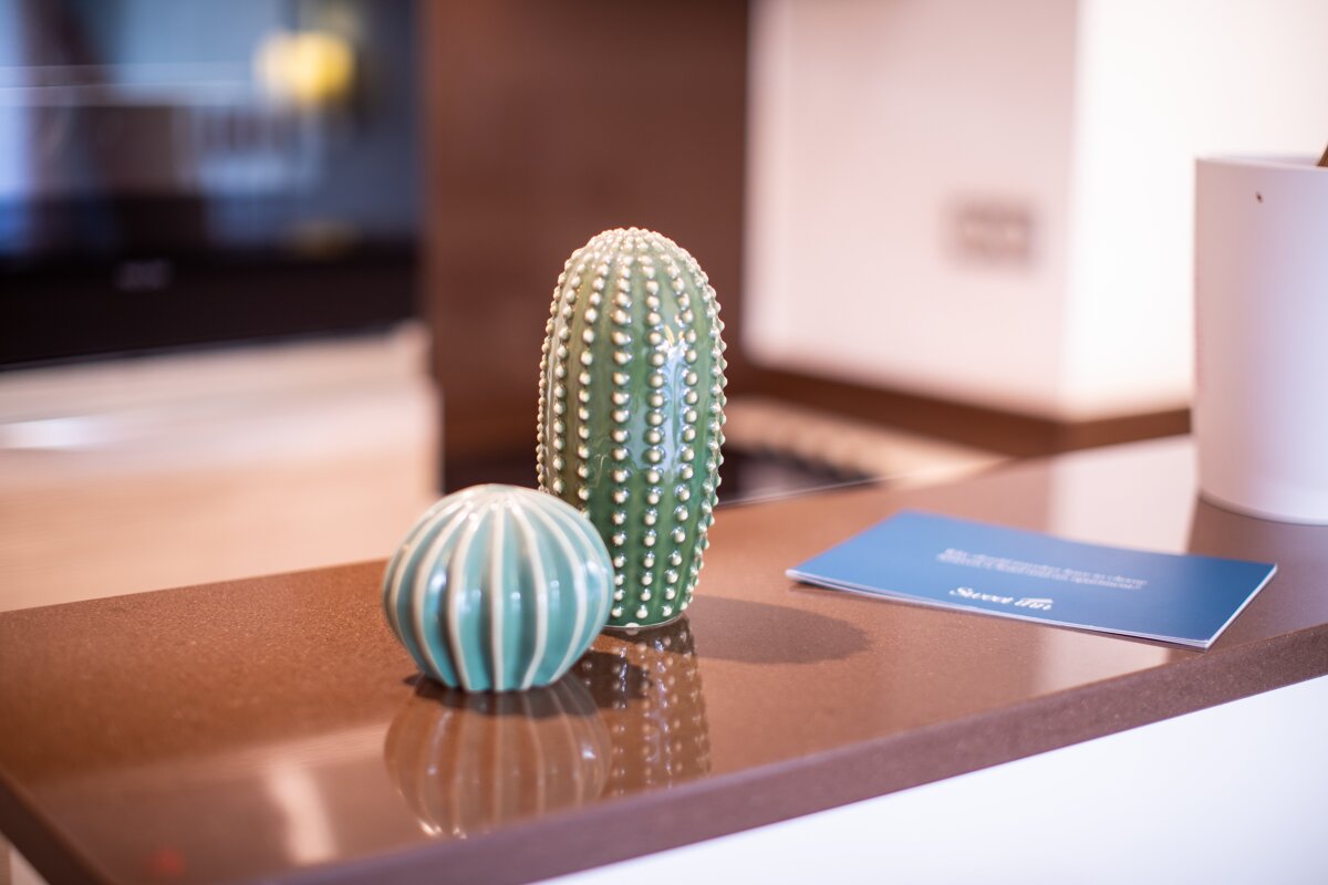 A cactus and a ball sit on a counter next to a booklet that says never