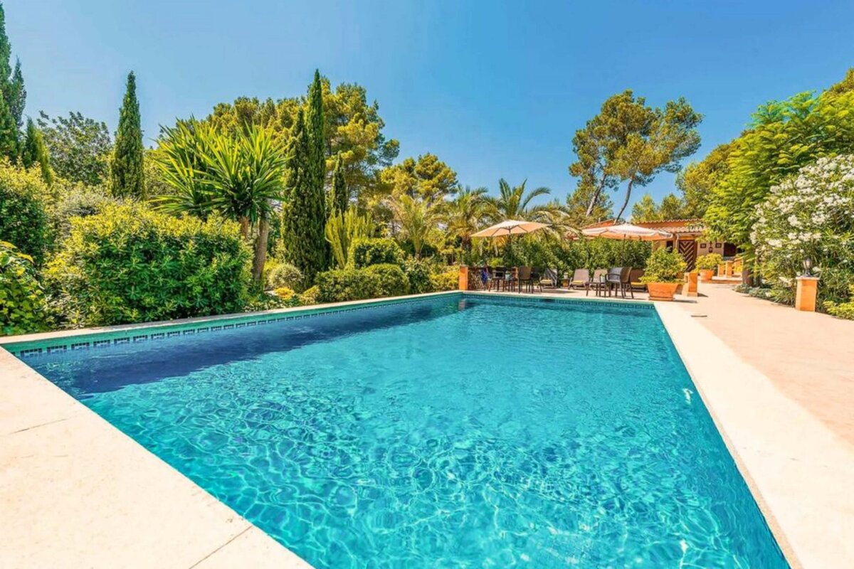 A large swimming pool surrounded by trees and umbrellas