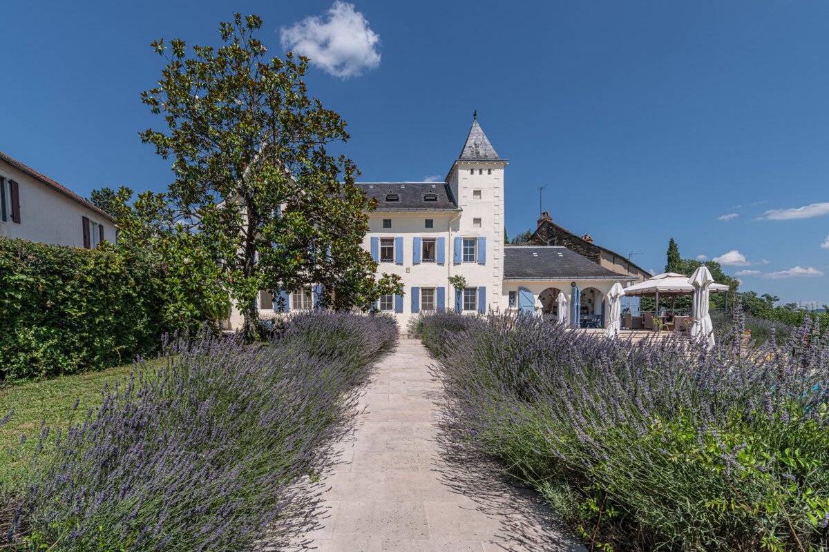 A large white building with blue shutters is surrounded by purple flowers