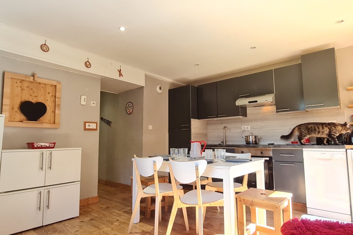 A kitchen with a cat standing on the counter