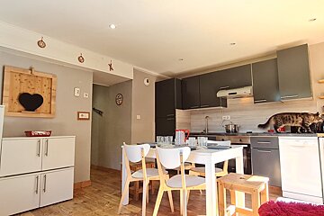 A kitchen with a cat standing on the counter