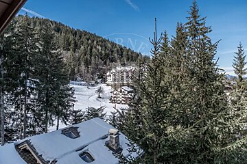 A winter mountain landscape featuring snow-covered pine trees, distant chalets, and a clear blue sky, viewed over a snowy rooftop.