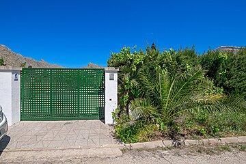 A green gate is surrounded by palm trees and bushes