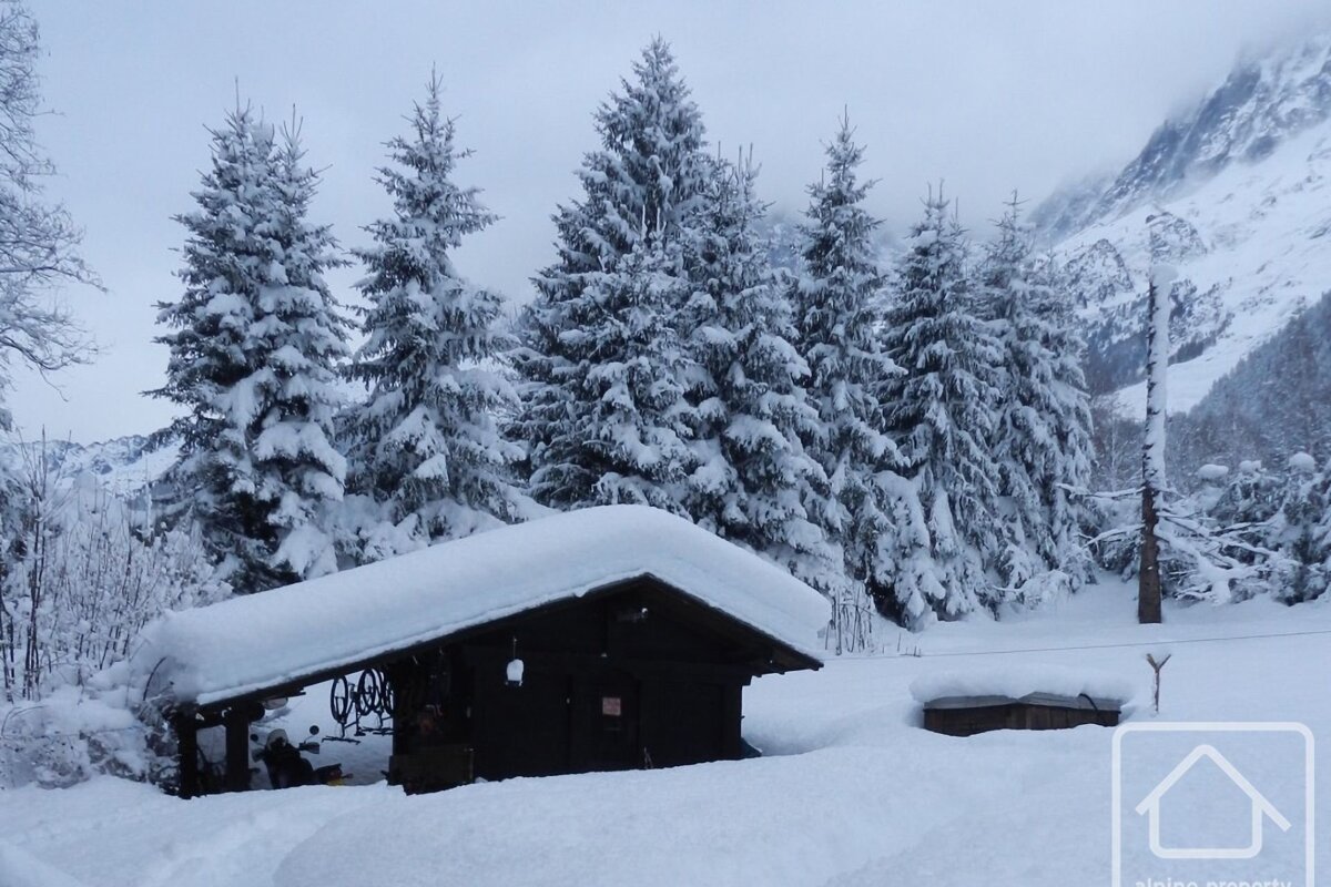 A small, snow-covered cabin nestled among tall, snow-laden pine trees with snowy mountains in the background, depicting a serene winter landscape.