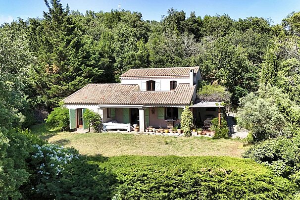 A house in the middle of a lush green forest