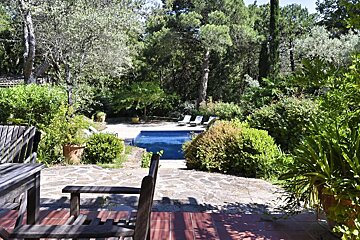 A large swimming pool is surrounded by trees and bushes