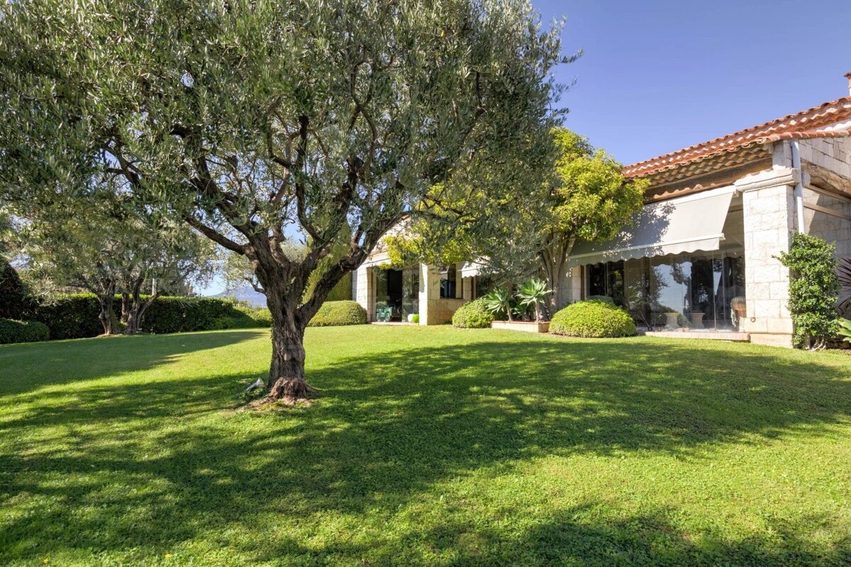A stone house with a red-tiled roof and awnings overlooks a lush green lawn with mature olive trees casting shadows on a sunny day.