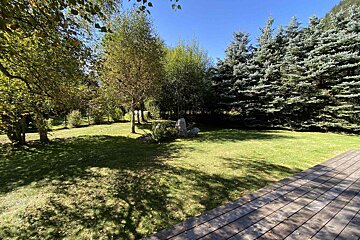 A lush green lawn surrounded by trees and a wooden deck