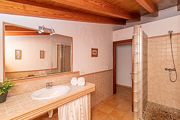 A bathroom with a sink a mirror and a walk in shower