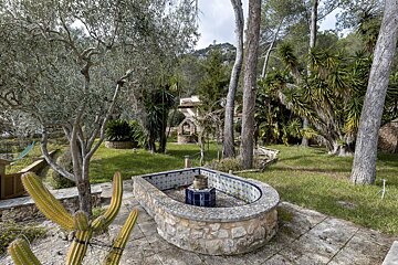 A fountain in the middle of a lush green garden
