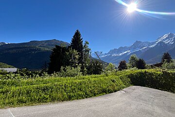 Sunlit mountain valley with lush green fields, evergreen trees, and snowy peaks under a bright blue sky.