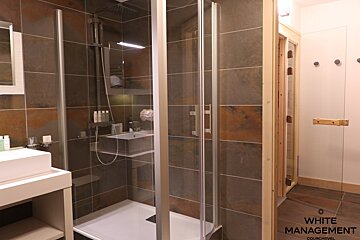 A modern bathroom features a glass-enclosed shower, sink with toiletries, and a wooden sauna or steam room visible on the right.
