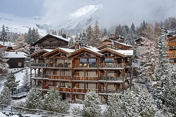 A large building with a mountain in the background is surrounded by snow covered trees