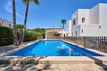 A large swimming pool is surrounded by a fence and palm trees