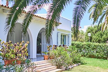 A white house with a palm tree in front of it