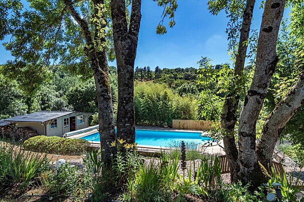 A large swimming pool is surrounded by trees and bushes
