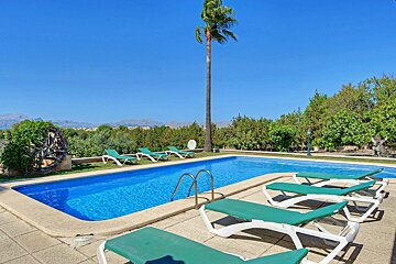 A swimming pool surrounded by green lounge chairs and a palm tree