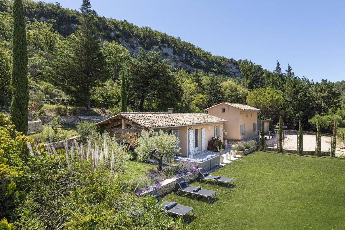 A house sits in the middle of a lush green forest