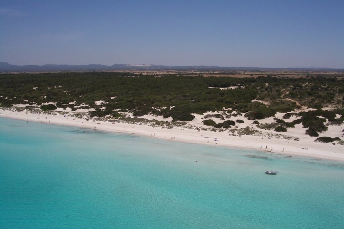 An aerial view of a beach with a boat in the water