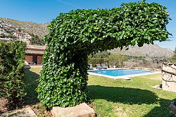 A large tree with lots of leaves is in front of a swimming pool