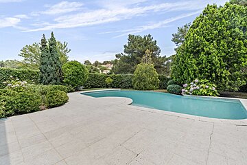 A large swimming pool surrounded by trees and bushes