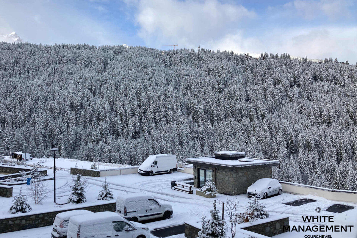 A mountain covered in trees with a rental designer logo in the corner