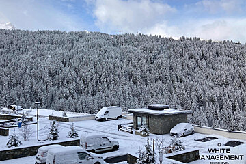 A mountain covered in trees with a rental designer logo in the corner