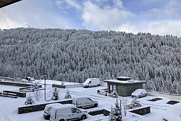 A mountain covered in trees with a rental designer logo in the corner