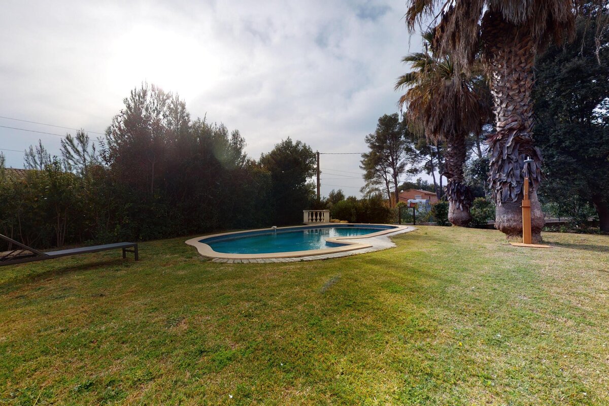 A large swimming pool is surrounded by palm trees