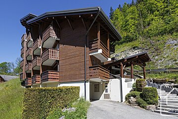 Chalet-style wooden building with balconies on a sunny green hillside. A driveway leads to its entrance, with stairs visible on the right.