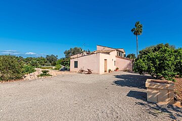 A house with a palm tree in front of it