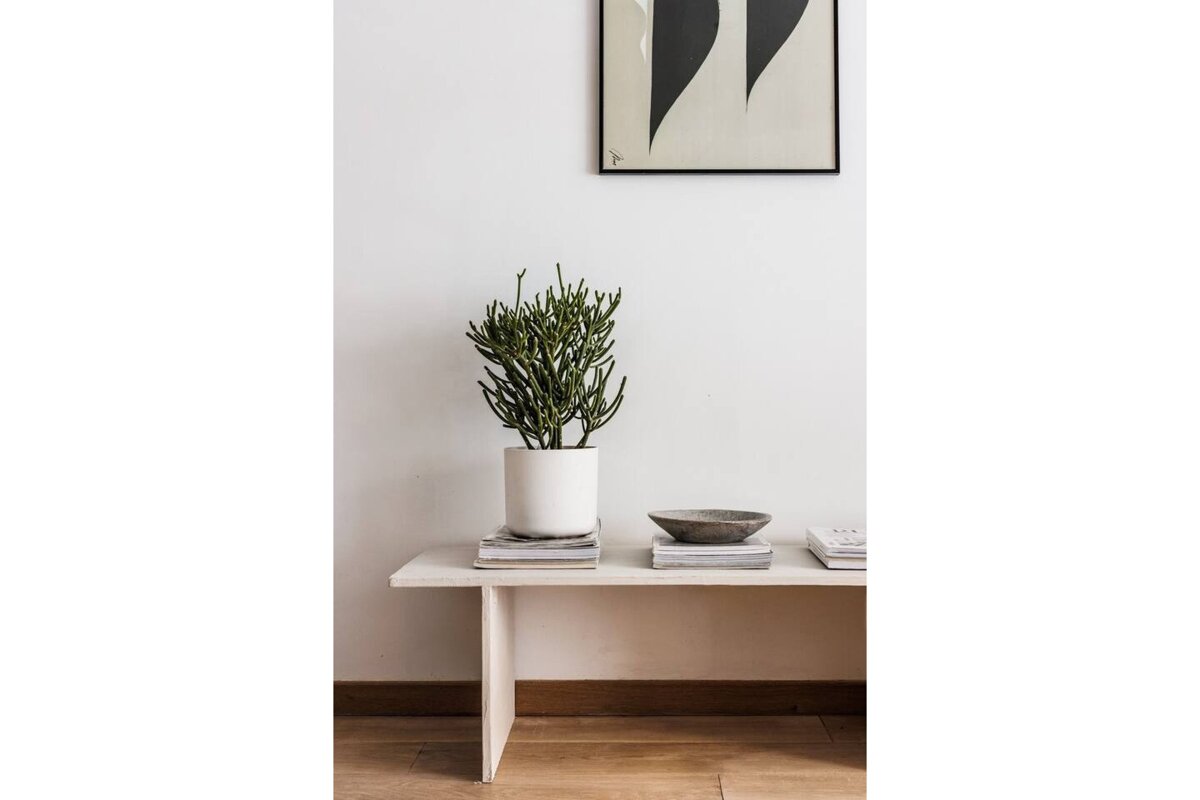 A plant in a white pot sits on a white bench