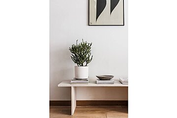 A plant in a white pot sits on a white bench